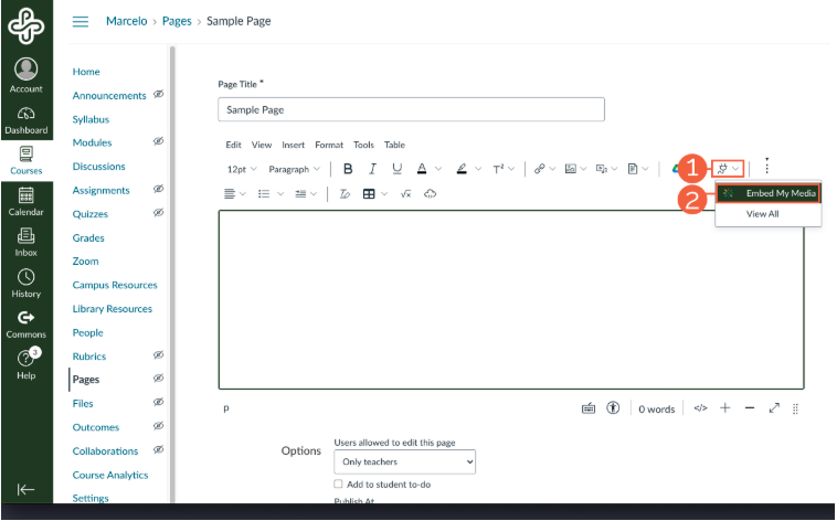 Embed Kaltura Media” button on Canvas editor