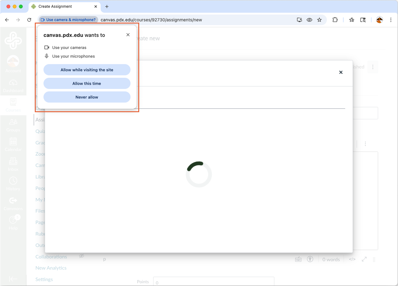 A browser permission prompt is shown, requesting access to use the camera and microphone. The prompt offers three options: Allow while visiting the site, Allow this time, and Never allow.”