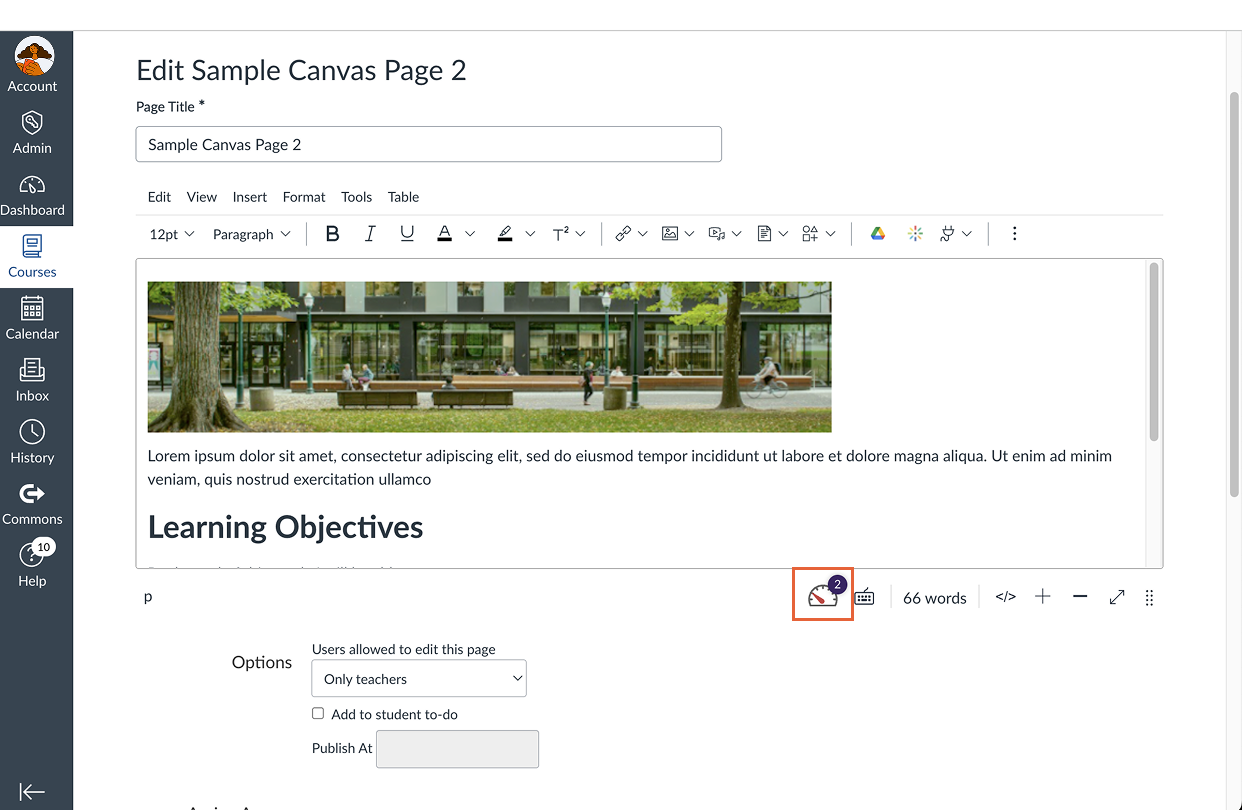 Canvas Rich Content Editor showing Panorama Accessibility Gauge highlighted.